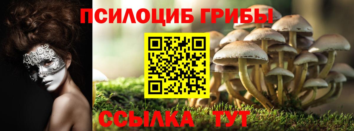 Галлюциногенные грибы прущие грибы  Вход с VPN  Бор 