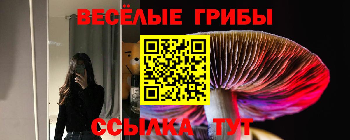 Псилоцибиновые грибы Magic Shrooms Бор